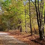 Dom Nad Jeziorem Widokowka Casa vacanze *