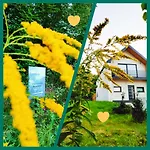 Dom Nad Jeziorem Widokowka Casa vacanze