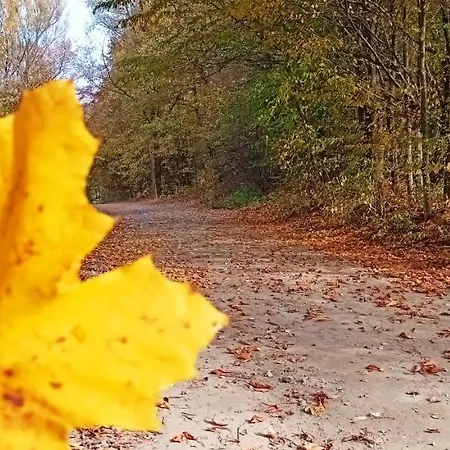 Dom wakacyjny Dom Nad Jeziorem Widokówka