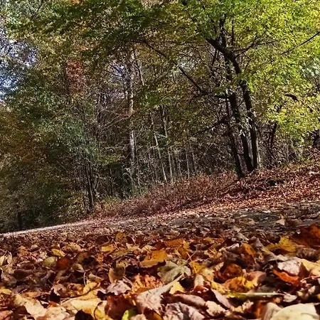Dom Nad Jeziorem Widokowka Dom wakacyjny Żywiec