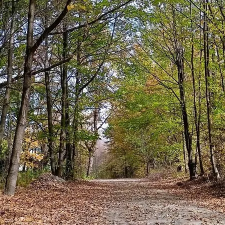 Dom wakacyjny Dom Nad Jeziorem Widokówka