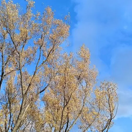 Dom Nad Jeziorem Widokowka *