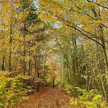 Semesterbostad Dom Nad Jeziorem Widokowka Żywiec