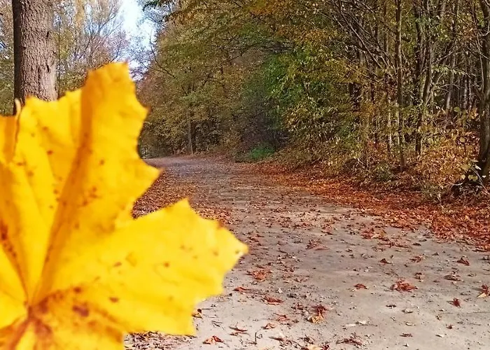 Vakantiehuis Dom Nad Jeziorem Widokowka