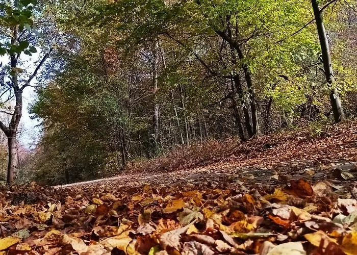 Dom Nad Jeziorem Widokowka Vakantiehuis Żywiec