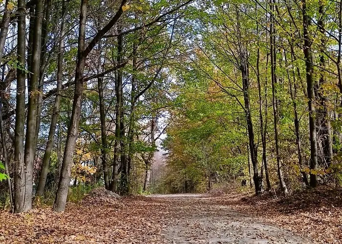Vakantiehuis Dom Nad Jeziorem Widokowka