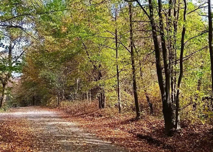 Dom Nad Jeziorem Widokówka Сasa de vacaciones *