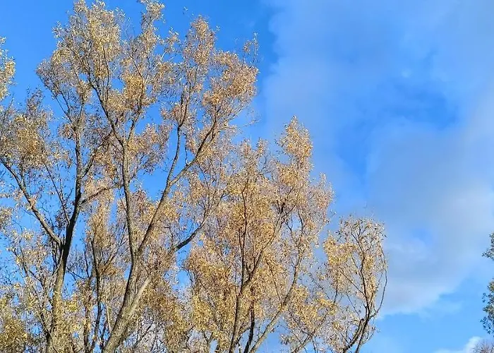 Dom Nad Jeziorem Widokowka *