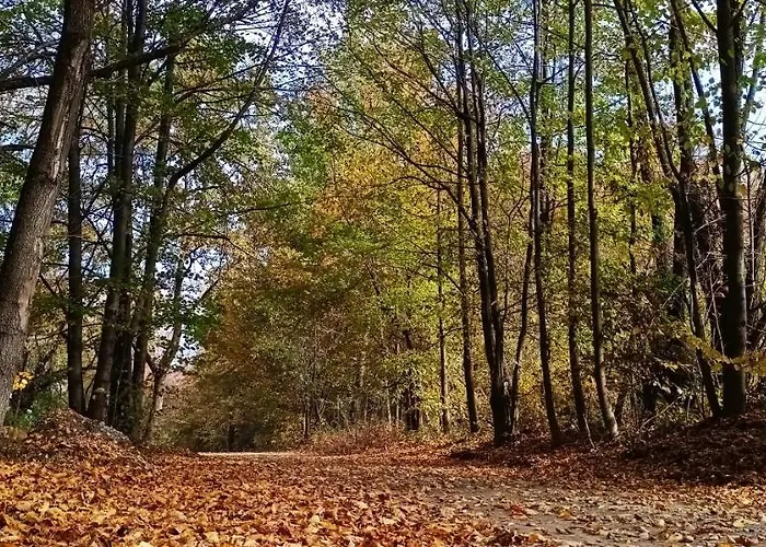 Dom Nad Jeziorem Widokowka Vakantiehuis
