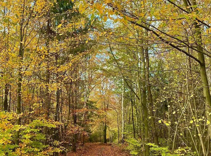 Vakantiehuis Dom Nad Jeziorem Widokowka Żywiec